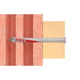 fischer Tassello a gambo lungo DuoXpand 10x160 T grigio chiaro/Rosso