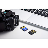 ADATA Premier Extreme SDXC SD8.0 1 TB, Scheda di memoria Nero