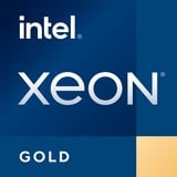 Intel® Xeon® Gold 5418Y, Processore Vassoio