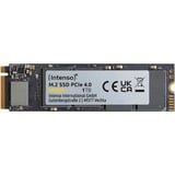 Intenso MI500 1 TB, Disco a stato solido 