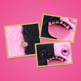 ZURU Fuggler - Baddie Fuggs, Peluche animali 3 anno/i