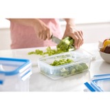 Emsa 508547 recipiente per cibo Rettangolare Scatola Trasparente 2 pz, Casella trasparente/Blu, Scatola, Rettangolare, Trasparente, Germania, 230 mm, 328 mm