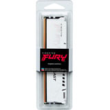 Kingston FURY DIMM 16 GB DDR5-6000, Memoria bianco