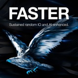 Seagate SkyHawk 1 TB, Hard-disk 
