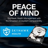 Seagate SkyHawk 1 TB, Hard-disk 