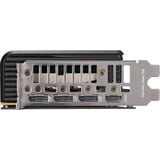 ZOTAC GeForce RTX 5060 AMP 8GB, Scheda grafica 