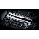 G.Skill DIMM 32 GB DDR5-8000 (2x 16 GB) Dual-Kit, Memoria argento