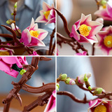LEGO Botanicals Rami di magnolia, Giochi di costruzione Vendita al dettaglio