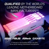 Kingston FURY FURY Beast 16 GB 5600 MT/s DDR5 CL40 DIMM White RGB XMP, Memoria bianco, 16 GB, 1 x 16 GB, DDR5, 288-pin DIMM