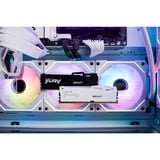 Kingston FURY FURY Beast 16 GB 5600 MT/s DDR5 CL40 DIMM White RGB XMP, Memoria bianco, 16 GB, 1 x 16 GB, DDR5, 288-pin DIMM