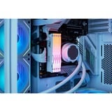 Kingston FURY FURY Beast 16 GB 5600 MT/s DDR5 CL40 DIMM White RGB XMP, Memoria bianco, 16 GB, 1 x 16 GB, DDR5, 288-pin DIMM