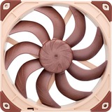 Noctua NF-A14x25 G2 PWM, Ventola marrone/Beige
