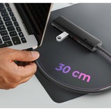 ICY BOX IB-HUB1437-CPD Cablato USB 3.2 Gen 2 (3.1 Gen 2) Type-C Nero, Hub USB Nero, Cablato, USB 3.2 Gen 2 (3.1 Gen 2) Type-C, 100 W, Nero, 10 Gbit/s, Alluminio, Plastica