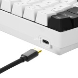 Sharkoon SGK50 S4 tastiera Wireless a RF + USB QWERTY Portoghese Bianco, Tastiera da gioco bianco/Nero, 60%, Wireless a RF + USB, QWERTY, LED RGB, Bianco