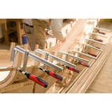 BESSEY Morsetto a vite GZ20-2K Nero/Rosso