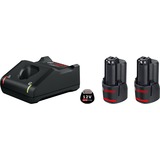 Bosch 1 600 A01 9R8 batteria e caricabatteria per utensili elettrici Set batteria e caricabatterie Nero, Set batteria e caricabatterie, Ioni di Litio, 2 Ah, 12 V, Bosch, Nero