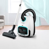 Bosch BGL6LHYG aspirapolvere a traino 4 L A cilindro Secco 600 W Sacchetto per la polvere bianco, 600 W, A cilindro, Secco, Sacchetto per la polvere, 4 L, Filtro per allergia