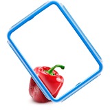 Emsa 508566 recipiente per cibo Rettangolare Set Trasparente 3 pz, Casella trasparente/Blu, Set, Rettangolare, Trasparente, Elastomero Termoplastico (TPE), Germania, 167 mm