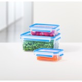 Emsa 508566 recipiente per cibo Rettangolare Set Trasparente 3 pz, Casella trasparente/Blu, Set, Rettangolare, Trasparente, Elastomero Termoplastico (TPE), Germania, 167 mm