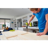 Ryobi Trapano avvitatore a percussione a batteria ONE+, Cordless verde/Nero