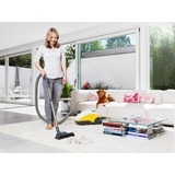 Thomas Perfect air animal pure 1,8 L A cilindro Secco e bagnato 1700 W Senza sacchetto, Aspirapolvere grigio, 1700 W, A cilindro, Secco e bagnato, Senza sacchetto, 1,8 L, HEPA, Micro