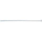 fischer 87478 fascetta Fascetta per scala Nylon Trasparente 100 pezzo(i), Fascette ferma-cavo trasparente, Fascetta per scala, Nylon, Trasparente, 10 cm, 2,5 mm, 100 pezzo(i)