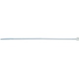 fischer BN 3.6 x 150 fascetta Fascetta con inserimento in parallelo Nylon Trasparente 100 pezzo(i), Fascette ferma-cavo trasparente, Fascetta con inserimento in parallelo, Nylon, Trasparente, -10 - 85 °C, 15 cm, 3,6 mm