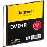 Intenso DVD+R 4.7 GB 16x 4,7 GB 10 pz, Supporti vergini DVD DVD+R, 120 mm, Custodia per CD, 10 pz, 4,7 GB