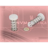 DeLOCK rivetto Rivetto a pressione, Montaggio bianco, Rivetto a pressione, Plastica, Bianco, Elettronica, Testa piatta, 6,3 mm