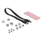 DeLOCK 42609 contenitore di unità di archiviazione Box esterno SSD Nero M.2, Disk enclosure Nero, Box esterno SSD, M.2, PCI Express, 10 Gbit/s, Collegamento del dispositivo USB, Nero