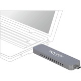 DeLOCK 42616 contenitore di unità di archiviazione Box esterno SSD Argento M.2, Disk enclosure argento, Box esterno SSD, M.2, M.2, 10 Gbit/s, Collegamento del dispositivo USB, Argento