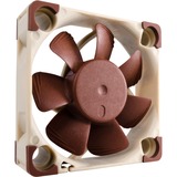 Noctua NF-A4X10-FLX sistema di raffreddamento per computer Case per computer Ventilatore 4 cm Beige, Marrone 1 pz, Ventola marrone/Bianco, Ventilatore, 4 cm, 4500 Giri/min, 8,2 m³/h, Beige, Marrone