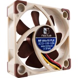 Noctua NF-A4X10-FLX sistema di raffreddamento per computer Case per computer Ventilatore 4 cm Beige, Marrone 1 pz, Ventola marrone/Bianco, Ventilatore, 4 cm, 4500 Giri/min, 8,2 m³/h, Beige, Marrone