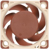 Noctua NF-A4X20 5V sistema di raffreddamento per computer Case per computer Ventilatore 4 cm Beige, Marrone, Ventola Ventilatore, 4 cm, 5000 Giri/min, 14,9 dB, 9,4 m³/h, Beige, Marrone