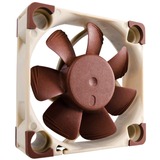 Noctua NF-A4x10 5V Case per computer Ventilatore 4 cm Beige, Marrone, Ventola Ventilatore, 4 cm, 4500 Giri/min, 17,9 dB, 8,2 m³/h, Beige, Marrone