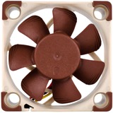 Noctua NF-A4x10 5V Case per computer Ventilatore 4 cm Beige, Marrone, Ventola Ventilatore, 4 cm, 4500 Giri/min, 17,9 dB, 8,2 m³/h, Beige, Marrone