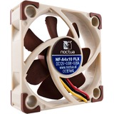 Noctua NF-A4x10 5V Case per computer Ventilatore 4 cm Beige, Marrone, Ventola Ventilatore, 4 cm, 4500 Giri/min, 17,9 dB, 8,2 m³/h, Beige, Marrone