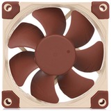 Noctua NF-A8 Case per computer Ventilatore 8 cm Beige, Marrone, Ventola Ventilatore, 8 cm, 2200 Giri/min, 17,7 dB, 55,5 m³/h, Beige, Marrone