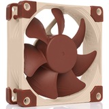 Noctua NF-A8 Case per computer Ventilatore 8 cm Beige, Marrone, Ventola Ventilatore, 8 cm, 450 Giri/min, 2200 Giri/min, 17,7 dB, 55,5 m³/h