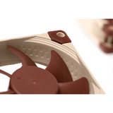 Noctua NF-A8 Case per computer Ventilatore 8 cm Beige, Marrone, Ventola Ventilatore, 8 cm, 450 Giri/min, 2200 Giri/min, 17,7 dB, 55,5 m³/h