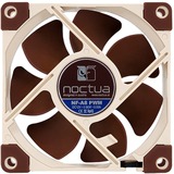 Noctua NF-A8 PWM sistema di raffreddamento per computer Case per computer Ventilatore 8 cm Beige, Marrone, Ventola Ventilatore, 8 cm, 450 Giri/min, 2200 Giri/min, 17,7 dB, 55,5 m³/h