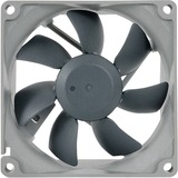 Noctua NF-B9 redux-1600 PWM Case per computer Ventilatore 9,2 cm Nero, Grigio, Ventola Ventilatore, 9,2 cm, 350 Giri/min, 1600 Giri/min, 17,6 dB, 64,3 pdc/min
