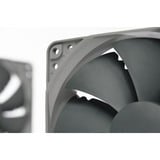 Noctua NF-P12 redux-1300, Ventola grigio