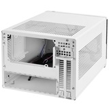 SilverStone SG13 Mini Tower Nero, Bianco, Alloggio a cubo bianco/Nero, Mini Tower, PC, Nero, Bianco, Mini-ATX, Mini-DTX, Plastica, Acciaio, 6,1 cm