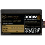 SilverStone SST-ST30SF V2.0, Alimentatore PC Nero