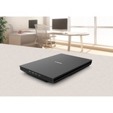 Canon CanoScan LiDE 300 Scanner piano 2400 x 2400 DPI A4 Nero Nero, 215,9 x 297,18 mm, 2400 x 2400 DPI, 48 bit, 48 bit, 16 bit, 8 bit