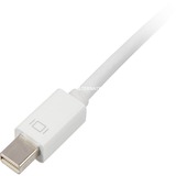 Sharkoon 0.15m, Mini DisplayPort/DVI 0,15 m Bianco, Adattatore bianco, Mini DisplayPort/DVI, 0,15 m, Mini DisplayPort, DVI, Maschio, Femmina, Oro