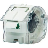 Brother CZ-1003 nastro per etichettatrice Etichetta continua, CZ, Bianco, Termica diretta, Filippine, 5 anno/i