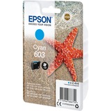 Epson Singlepack Cyan 603 Ink, Inchiostro Resa standard, Ciano, 2,4 ml, 1 pz