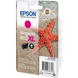 Epson Singlepack Magenta 603XL Ink, Inchiostro Resa elevata (XL), Magenta, 4 ml, 1 pz